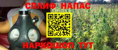 шишки Партизанск