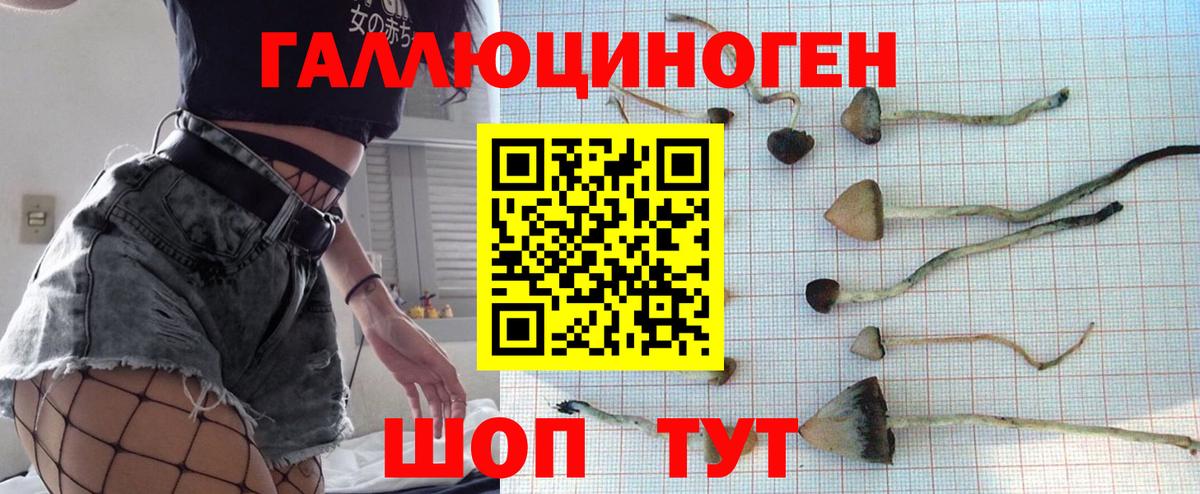 Псилоцибиновые грибы прущие грибы Рузаевка