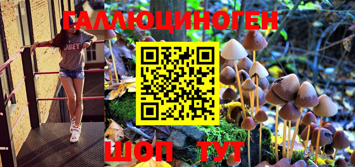 цена   Псилоцибиновые грибы Magic Shrooms  Вход с VPN  Рузаевка 